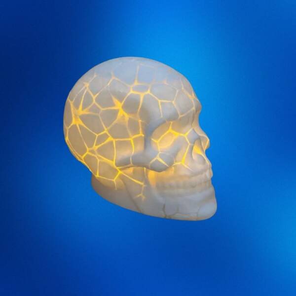 Cracked Skull STL – Realistic 3D Printable Horror Prop Model