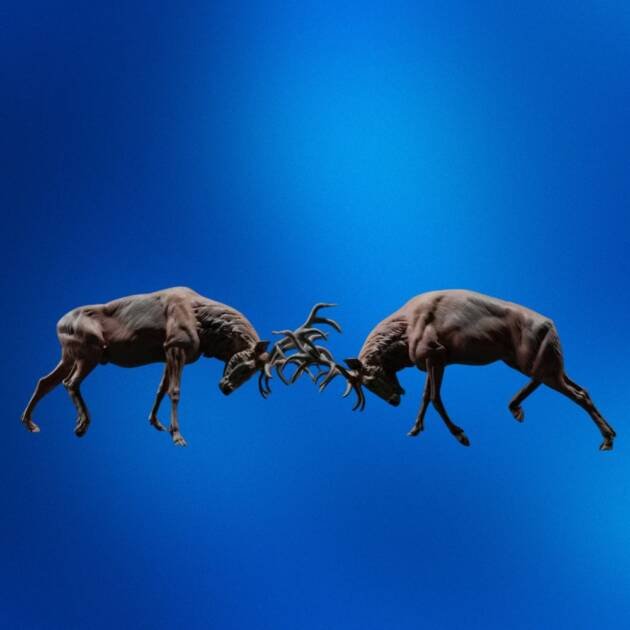 Red Deer Stag Fight STL – Dramatic Wildlife Scene 3D Printable Model
