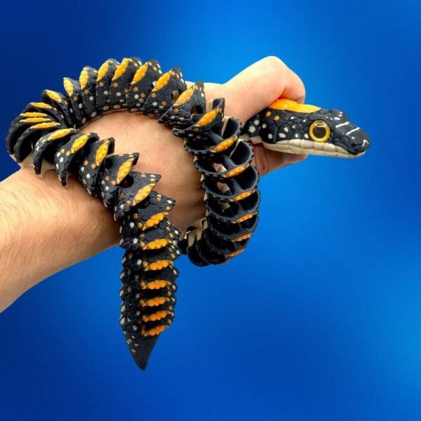 Articulated Paradise Flying Snake – 3D Printable Flexi Model